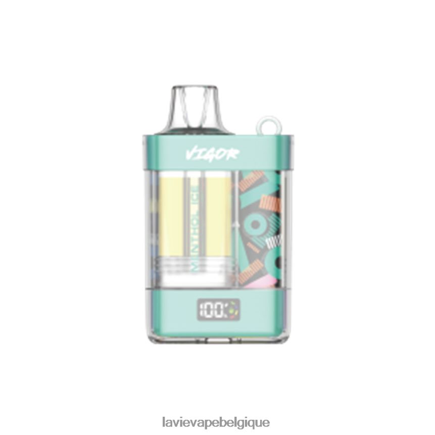 4640682 Lavie Vape Prix | glace mentholée LAVIE VIGOR 15000 bouffées